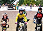 921H7954 bmx-tc-11-9-21